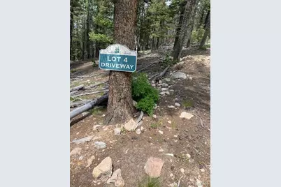 28651 Belle Point Drive, Conifer, CO 80433 - Photo 21