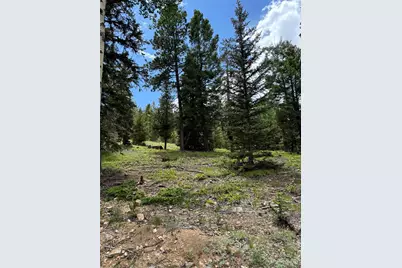 28651 Belle Point Drive, Conifer, CO 80433 - Photo 11