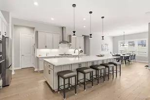 838 Bahia Pt, Castle Rock, CO 80104 - Photo 3