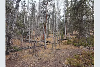 210 Tepee Trail, Como, CO 80432 - Photo 9