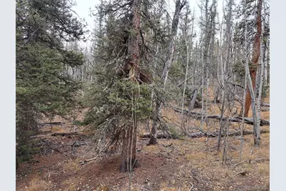 210 Tepee Trail, Como, CO 80432 - Photo 15