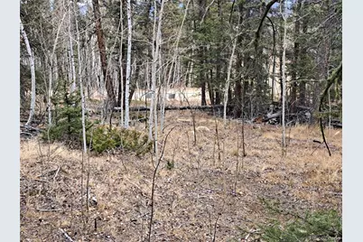 210 Tepee Trail, Como, CO 80432 - Photo 17