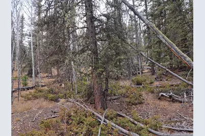 210 Tepee Trail, Como, CO 80432 - Photo 5