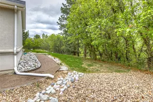 317 Deer Crossing, Castle Rock, CO 80104 - Photo 45