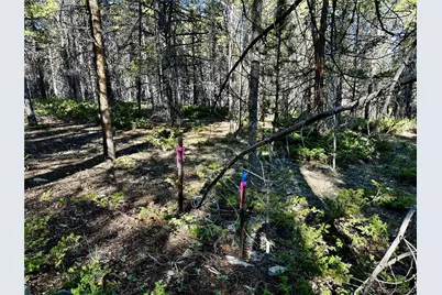 3052 Excelsior, Leadville, CO 80461 - Photo 9