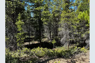 3052 Excelsior, Leadville, CO 80461 - Photo 7