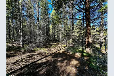 3052 Excelsior, Leadville, CO 80461 - Photo 11