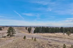 7989 Painted Pne St, Parker, CO 80134 - Photo 21