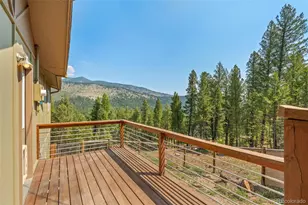 34096 Columbine Cir, Evergreen, CO 80439 - Photo 33