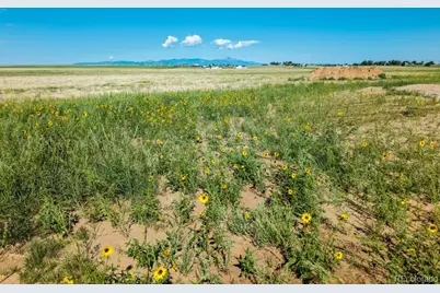 20892 Silverado Hill View, Colorado City, CO 80928 - Photo 9