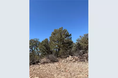 000 41st Trail, Cotopaxi, CO 81223 - Photo 13