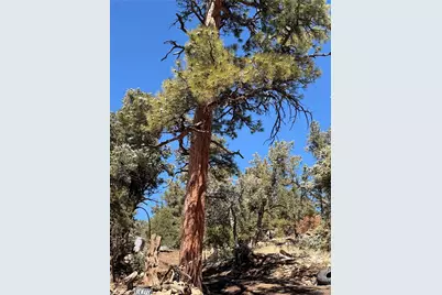 000 41st Trail, Cotopaxi, CO 81223 - Photo 19