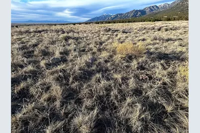 3292 Camino Del Rey, Crestone, CO 81131 - Photo 3