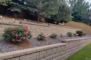 2794 Pemberly Ave, Highlands Ranch, CO 80126 - Photo 45
