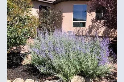 18311 Wagon Trail, Buena Vista, CO 81211 - Photo 43