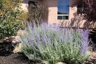 18311 Wagon Trail, Buena Vista, CO 81211 - Photo 43