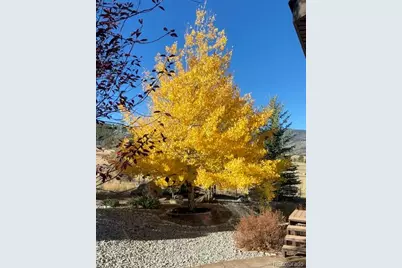 18311 Wagon Trail, Buena Vista, CO 81211 - Photo 41