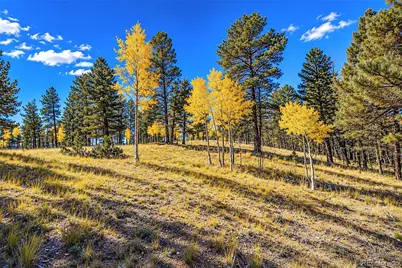 72 Buffalo Creek Trail, Florissant, CO 80816 - Photo 9