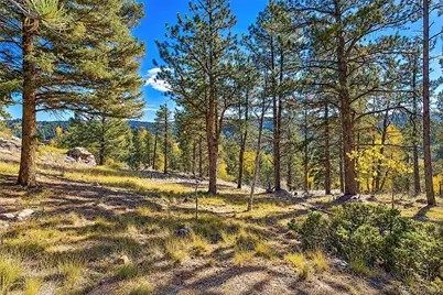 72 Buffalo Creek Trail, Florissant, CO 80816 - Photo 13