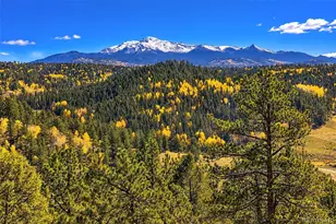 72 Buffalo Creek Trail, Florissant, CO 80816 - Photo 1