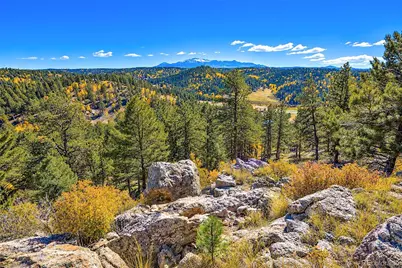 72 Buffalo Creek Trail, Florissant, CO 80816 - Photo 19