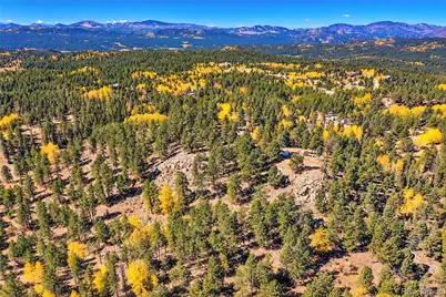 72 Buffalo Creek Trail, Florissant, CO 80816 - Photo 27