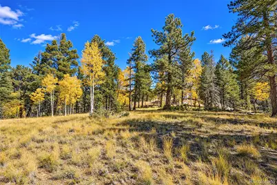 72 Buffalo Creek Trail, Florissant, CO 80816 - Photo 11