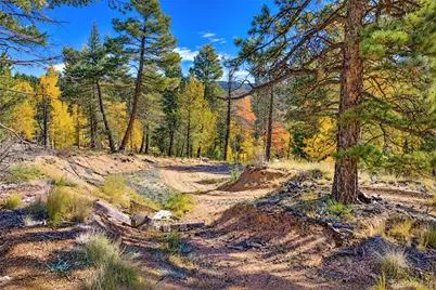 72 Buffalo Creek Trail, Florissant, CO 80816 - Photo 3