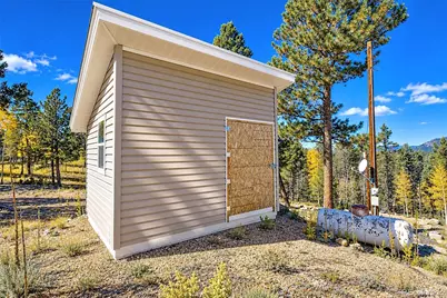 72 Buffalo Creek Trail, Florissant, CO 80816 - Photo 15