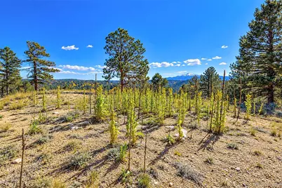 72 Buffalo Creek Trail, Florissant, CO 80816 - Photo 17