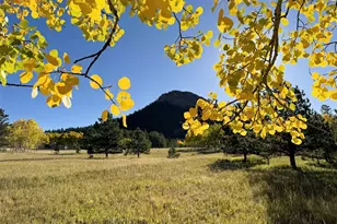 1965 Vagabond Creek Dr, Lake George, CO 80827 - Photo 1