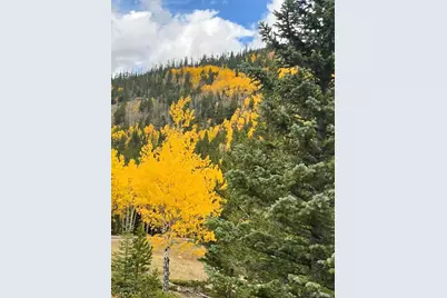 1965 Vagabond Creek Drive, Lake George, CO 80827 - Photo 11