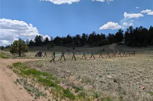 2117 Badger Creek Rd, Hartsel, CO 80449 - Photo 47