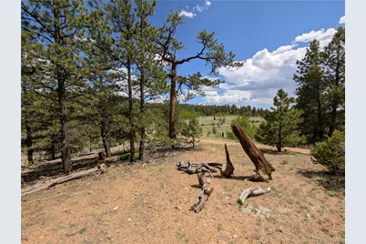 2117 Badger Creek Road, Hartsel, CO 80449 - Photo 29