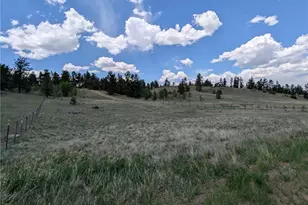 2117 Badger Creek Rd, Hartsel, CO 80449 - Photo 43