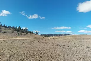 3552 Ute Trce, Hartsel, CO 80449 - Photo 1