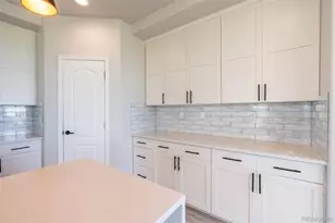 8036 Flintwood Rd, Parker, CO 80138 - Photo 11