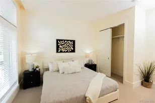 250 Columbine St, Denver, CO 80206 - Photo 31