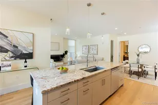 250 Columbine St, Denver, CO 80206 - Photo 7