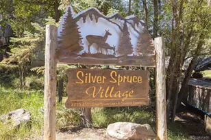 4875 Silver Spruce Ln, Evergreen, CO 80439 - Photo 31