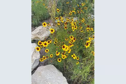 6639 Enclave Vista Loop, Colorado Springs, CO 80924 - Photo 45