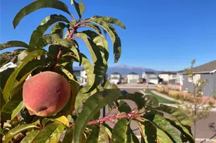 6639 Enclave Vista Loop, Colorado Springs, CO 80924 - Photo 47