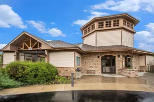 12134 Pine Top St, Parker, CO 80138 - Photo 39