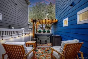 2863 Alton St, Denver, CO 80238 - Photo 27