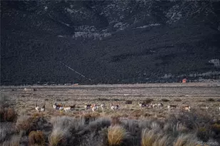 32500 Oak Ave, Blanca, CO 81123 - Photo 39