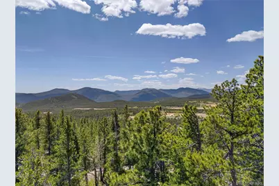 34028 Lyttle Dowdle Drive, Golden, CO 80403 - Photo 41