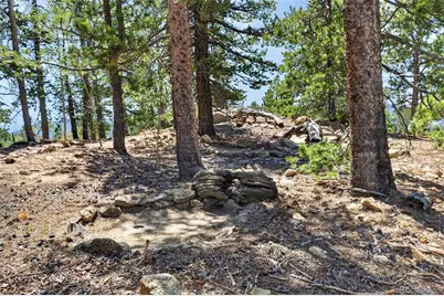 34028 Lyttle Dowdle Drive, Golden, CO 80403 - Photo 35
