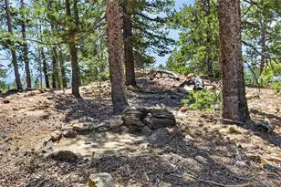 34028 Lyttle Dowdle Dr, Golden, CO 80403 - Photo 35