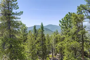 34028 Lyttle Dowdle Dr, Golden, CO 80403 - Photo 29