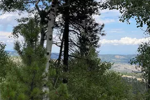 11857 Coal Creek Heights Dr, Golden, CO 80403 - Photo 43